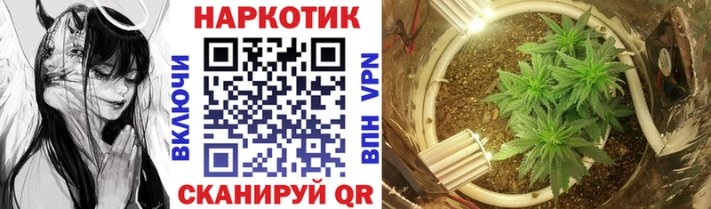 Купить Нижневартовск Alpha-PVP Псилоцибиновые грибы Конопля Меф Амфетамин