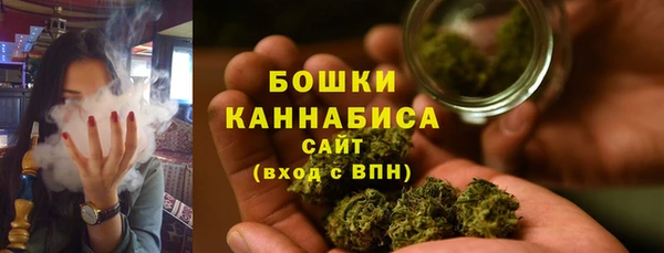 ПСИЛОЦИБИНОВЫЕ ГРИБЫ Краснотурьинск