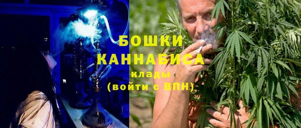 ПСИЛОЦИБИНОВЫЕ ГРИБЫ Краснотурьинск