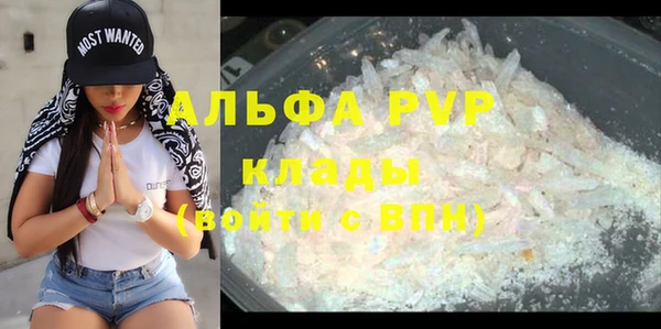 ПСИЛОЦИБИНОВЫЕ ГРИБЫ Краснотурьинск