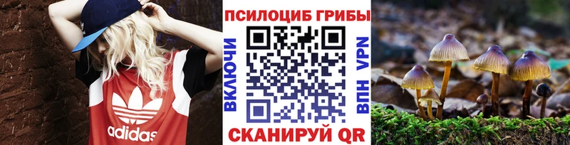 Галлюциногенные грибы Magic Shrooms  Нижневартовск 